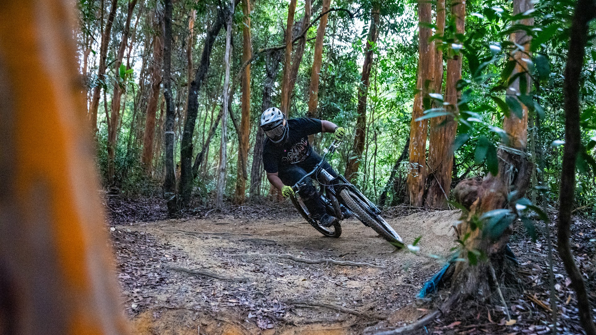 Pista Downhill